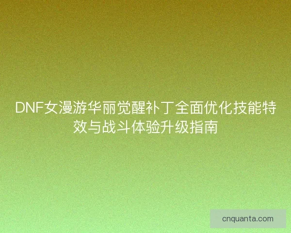 DNF女漫游华丽觉醒补丁全面优化技能特效与战斗体验升级指南